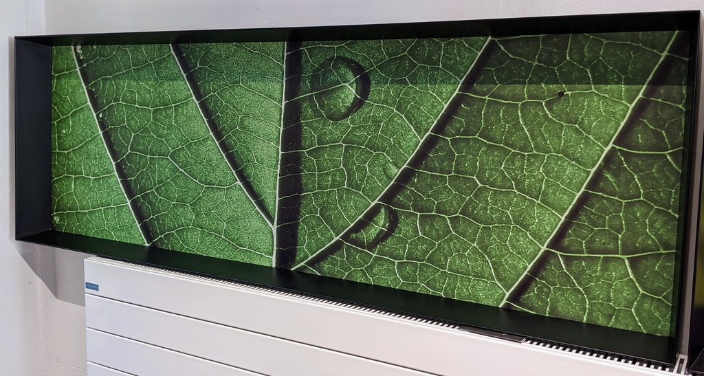 Cadre image verdure 150x50cm