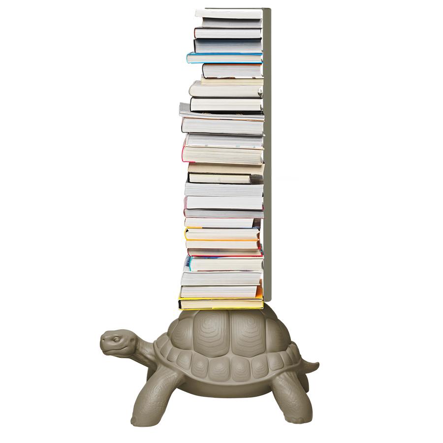 Déco Turtle Bookcase