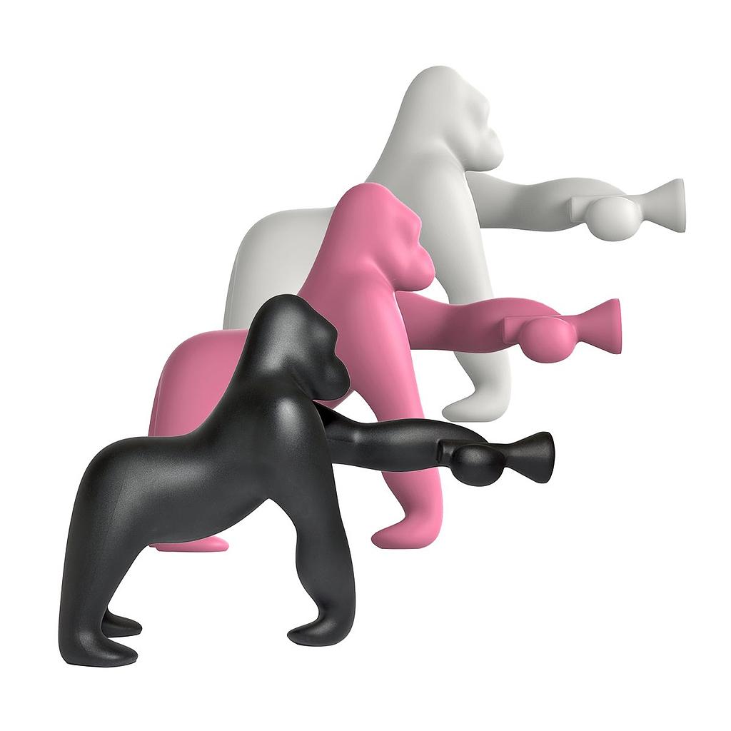 Kong XS