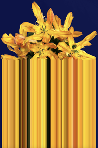 [42003GC-YE] Tapis Glitch YELLOW