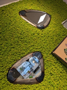 Miroir Hawaii